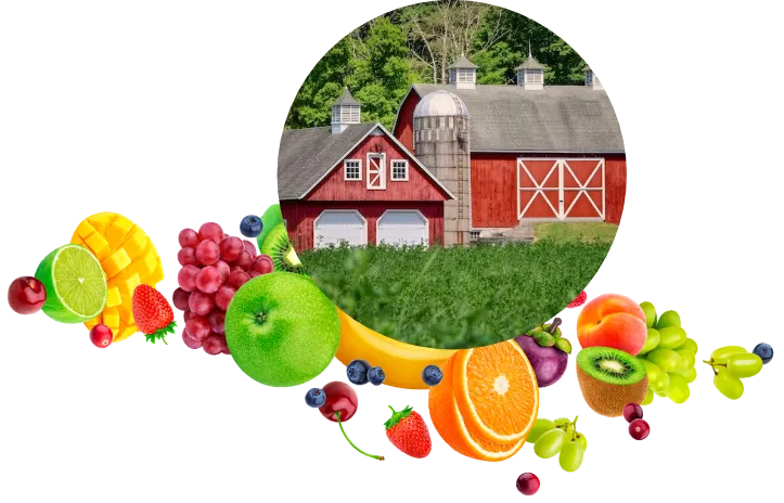 Local Kentucky farm partnered with Bud's Produce